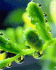 anim176220mobildesign.atw.hu_0300.gif